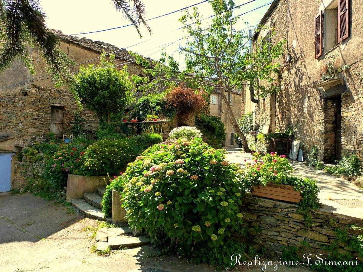 Tres Jolie Maison Aux Portes Du Cap Corse Sisco Экстерьер фото